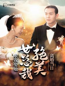 离婚当日，绝美女总裁求我娶她 第12集