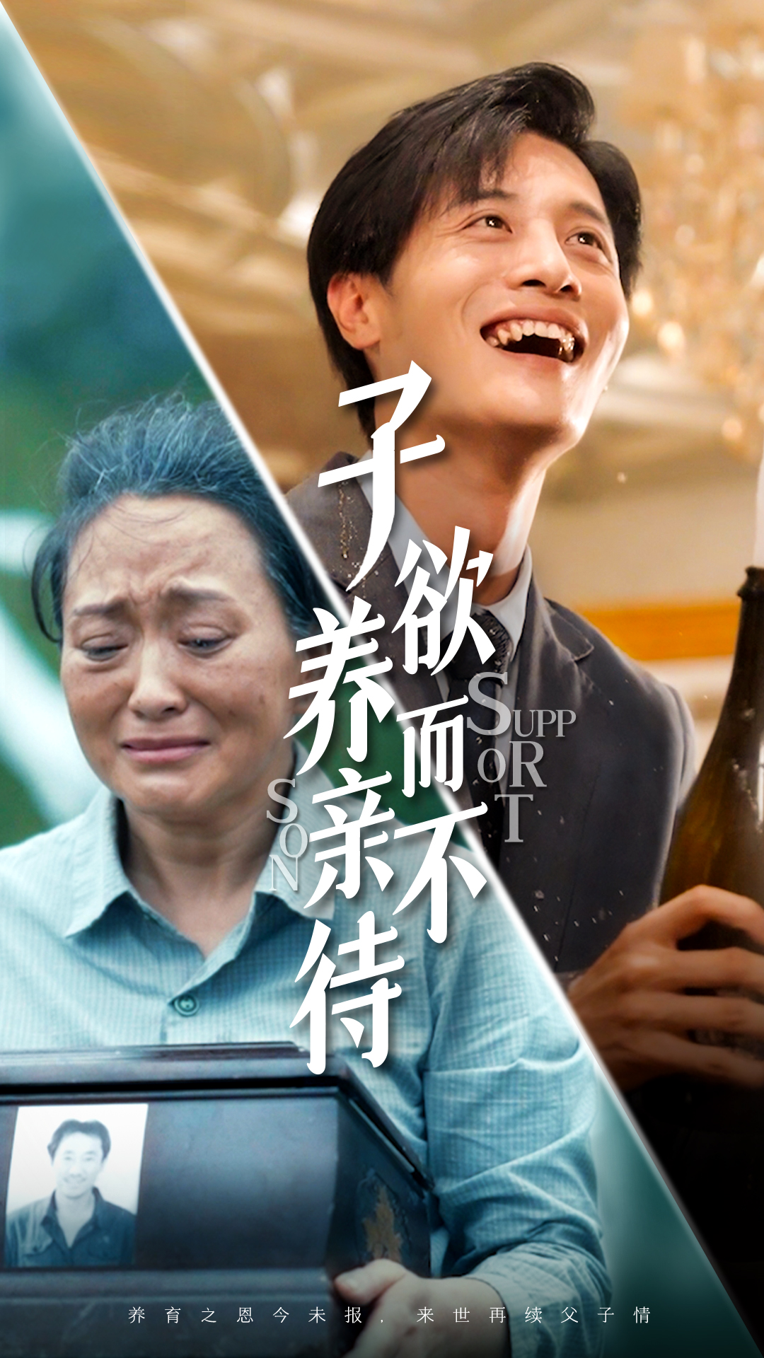 子欲养而亲不待 合集版