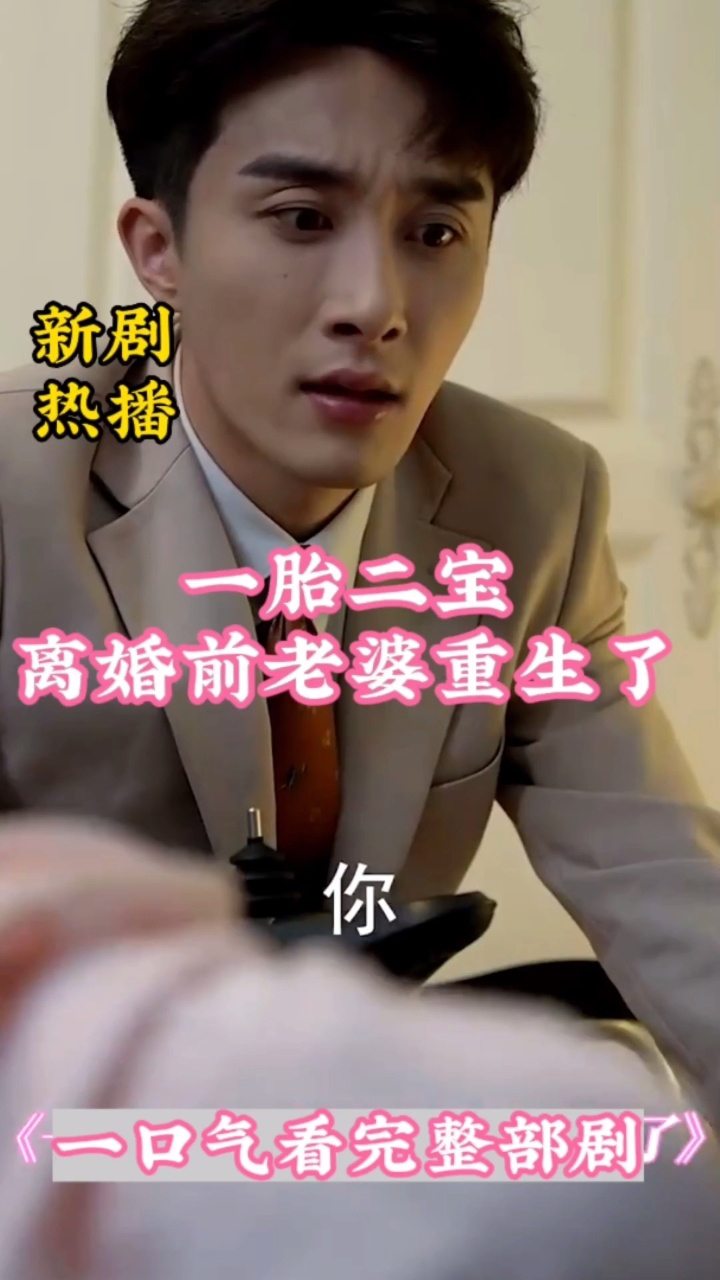 一胎二宝：离婚前老婆重生了 第02集